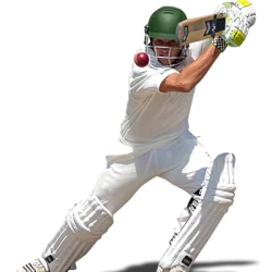 pngimg.com - cricket_PNG31